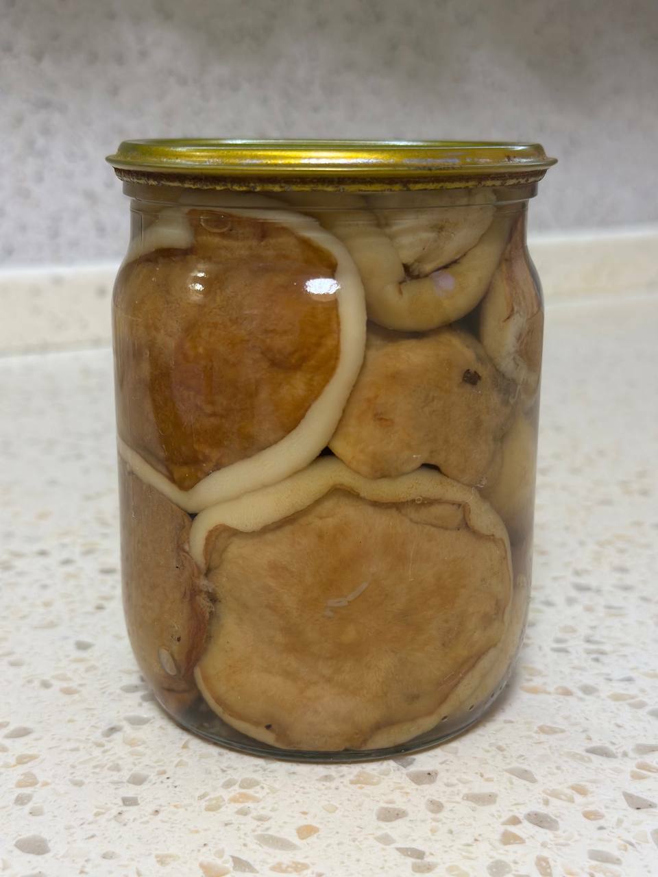 Гиропорус (маслята) Гиропорус (маслята)