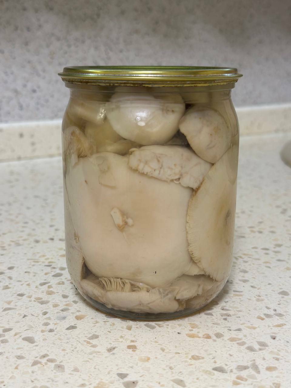 Сыроежки маринованые Сыроежки маринованые